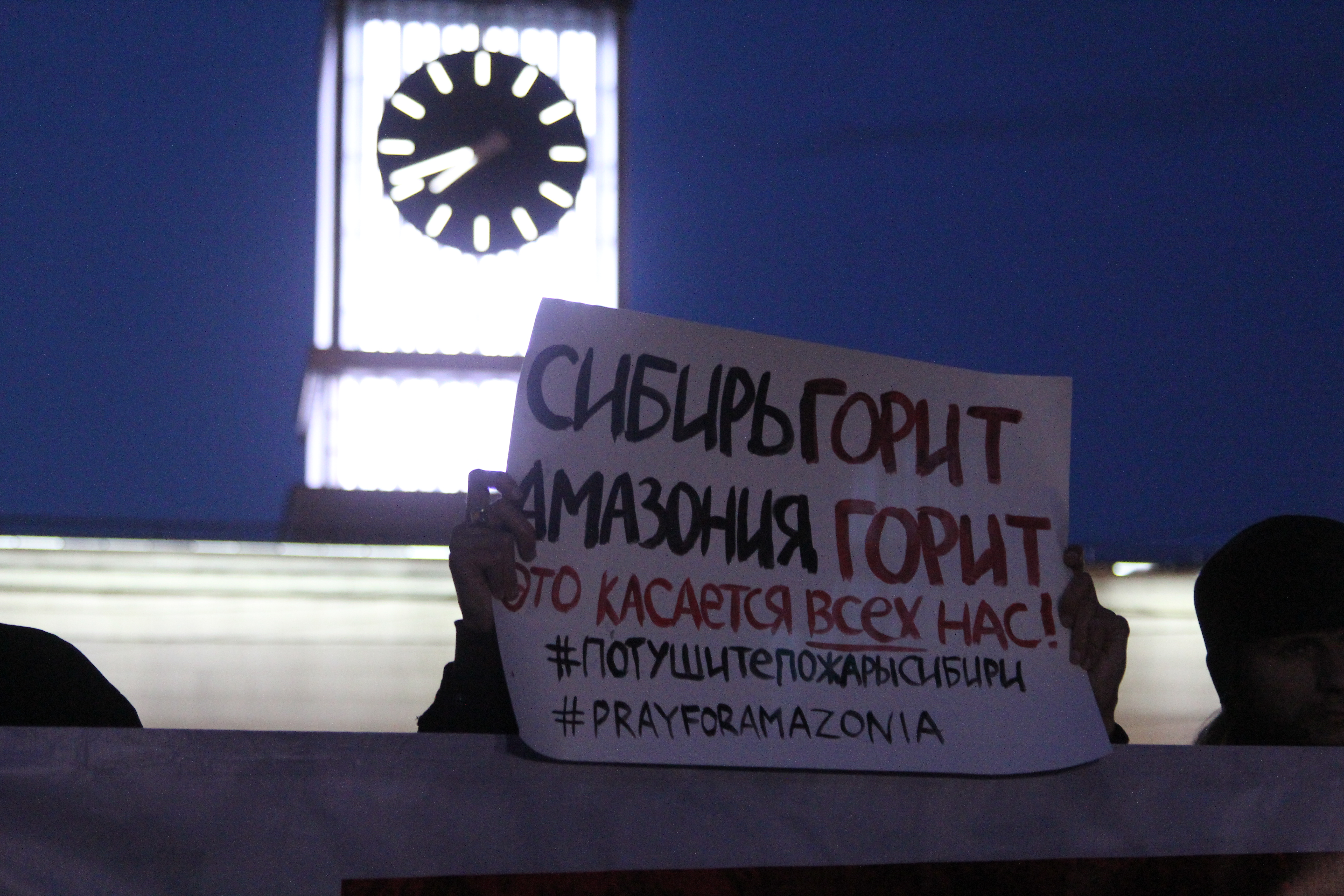 «Зеленые» в Петербурге призвали правительство заботиться об экологии