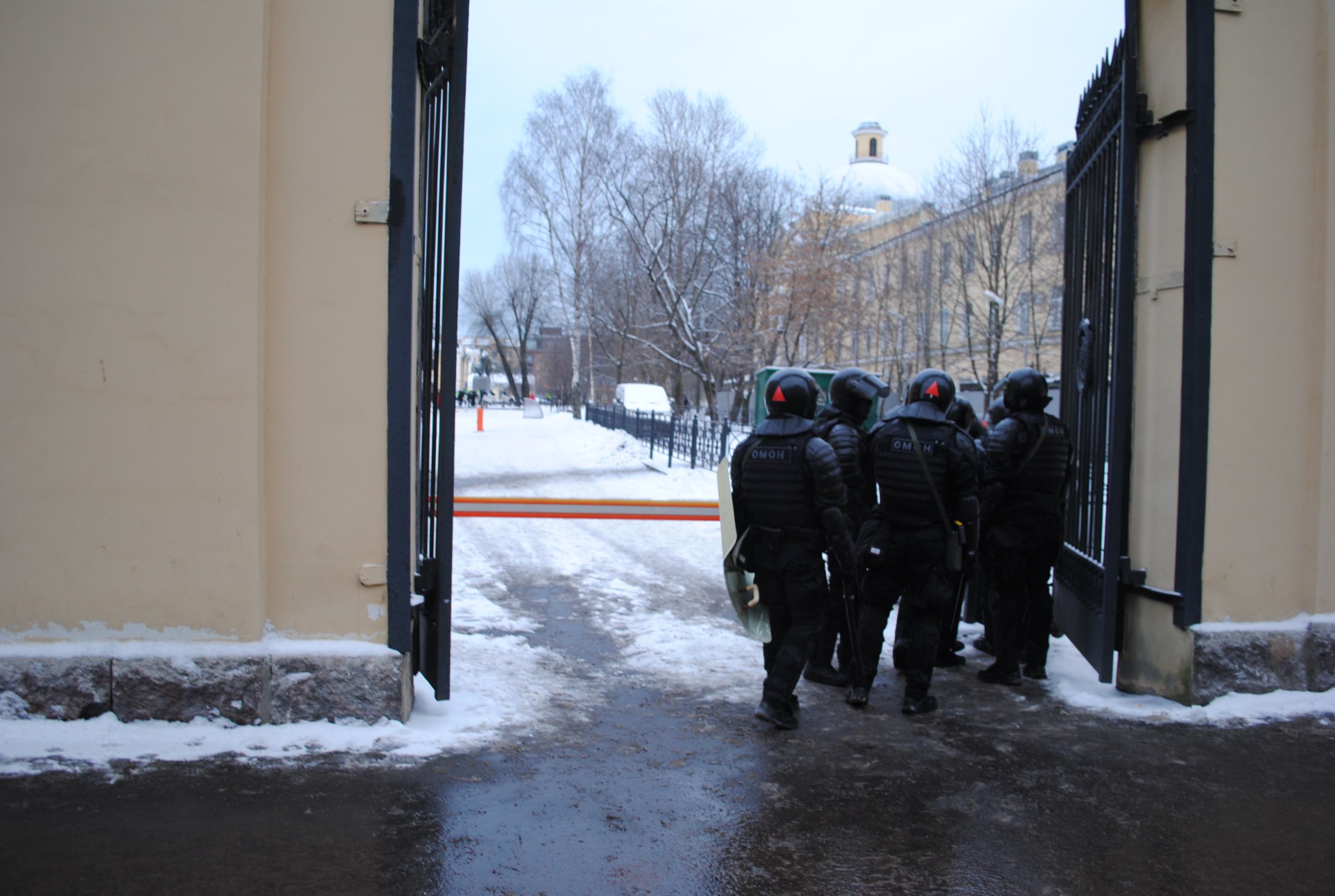 Воскресное шествие в Петербурге завершилось у ТЮЗа