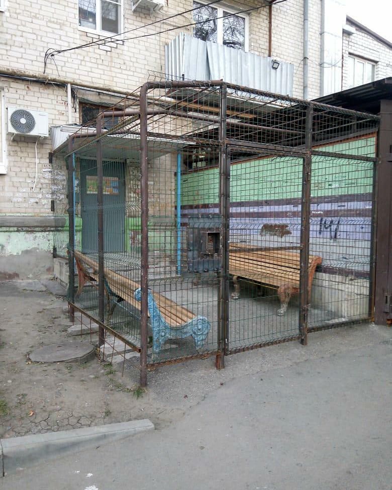 Россияне обустроили свое жилье в виде клетки