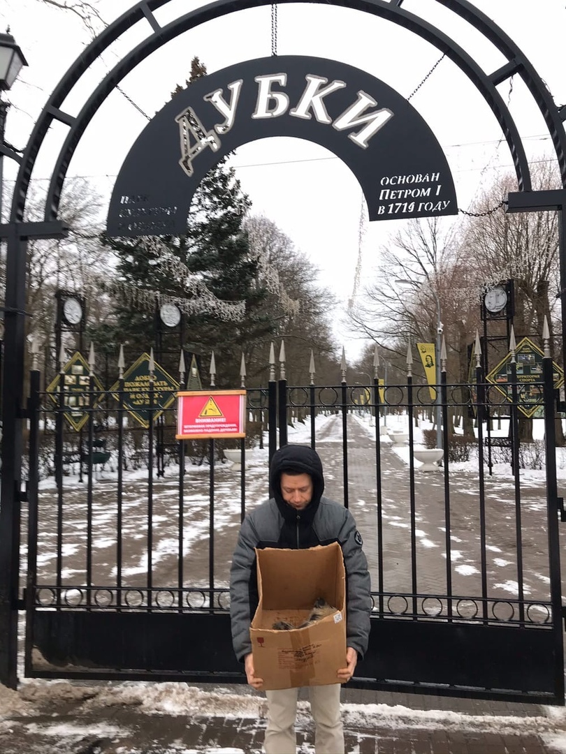 Дед Мазай и нерпы. Люди спасают бельков на побережье Финского залива