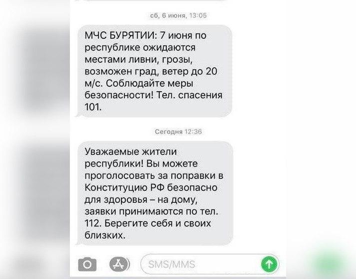 Найдены поддельные сайты плебисцита по поправкам к Конституции