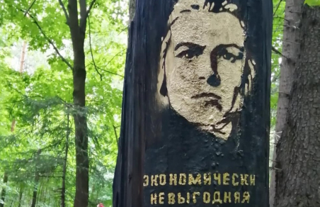 В Петербурге создали арт-объект, посвященный пожарам в Сибири