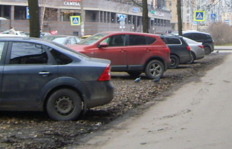 Ахмедов, умертвивший петербуржца из-за парковки, сел на 3,5 года