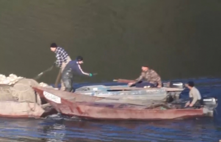 МВД поймало государственных рыбоводов на организованном браконьерстве