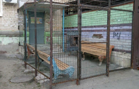 Россияне обустроили свое жилье в виде клетки