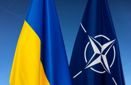 Украинцы ответили, насколько они хотят в НАТО