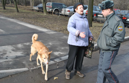 %D0%91%D1%80%D0%BE%D0%B4%D1%8F%D1%87%D0%B8%D1%85%20%D1%81%D0%BE%D0%B1%D0%B0%D0%BA%20%D1%80%D0%B0%D1%81%D0%BF%D1%80%D0%B5%D0%B4%D0%B5%D0%BB%D1%8F%D1%82%20%D0%B2%20%D0%BC%D0%B5%D1%81%D1%82%D0%B0%20%D0%B7%D0%B0%D0%BA%D0%BB%D1%8E%D1%87%D0%B5%D0%BD%D0%B8%D1%8F