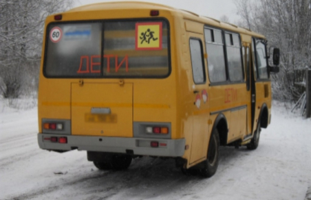 Младшеклассница в Волосово съехала с горки под школьный автобус