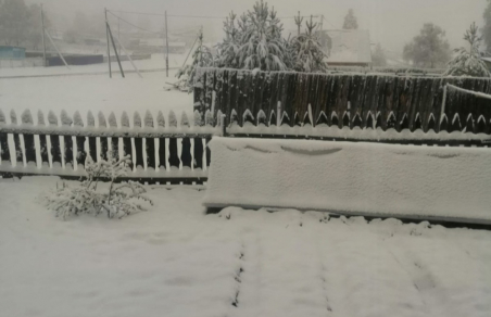 Башкирию засыпал майский снег