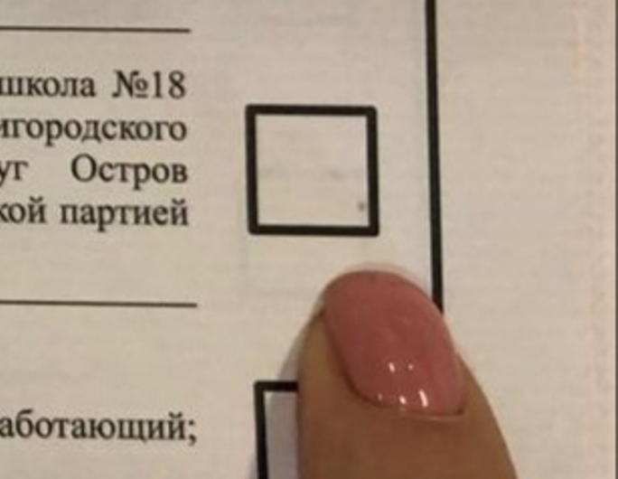 В округе «Остров Декабристов» оппозицию обсчитали по голосам