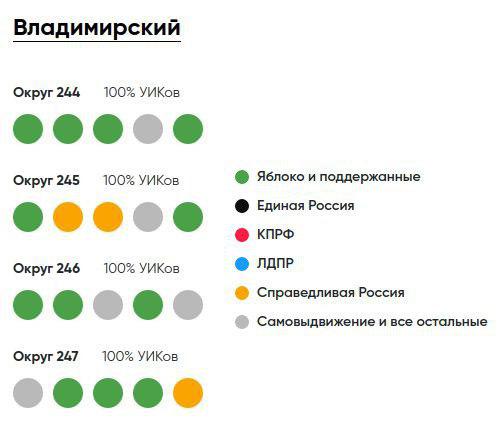"Единая Россия" проиграла муниципальные выборы в центре Петербурга