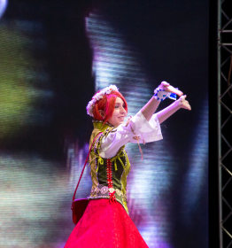 IMG_7863.jpg