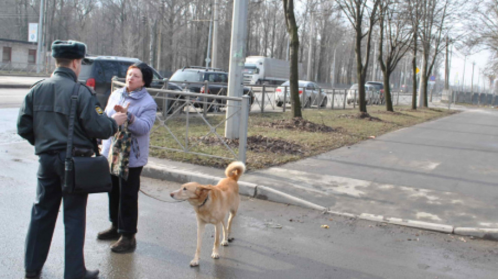 Петербургский суд не стал штрафовать даму с собачкой за вход в парк