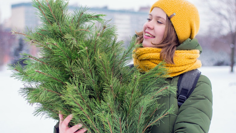 Ученые оценили воздействие новогодней елки на атмосферу в доме