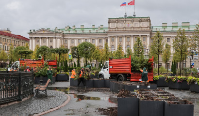 Сад-трансформер у Мариинского дворца уходит на зимние каникулы