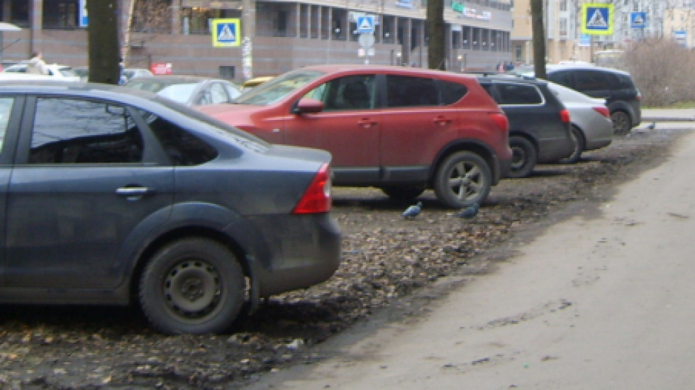 Ахмедов, умертвивший петербуржца из-за парковки, сел на 3,5 года