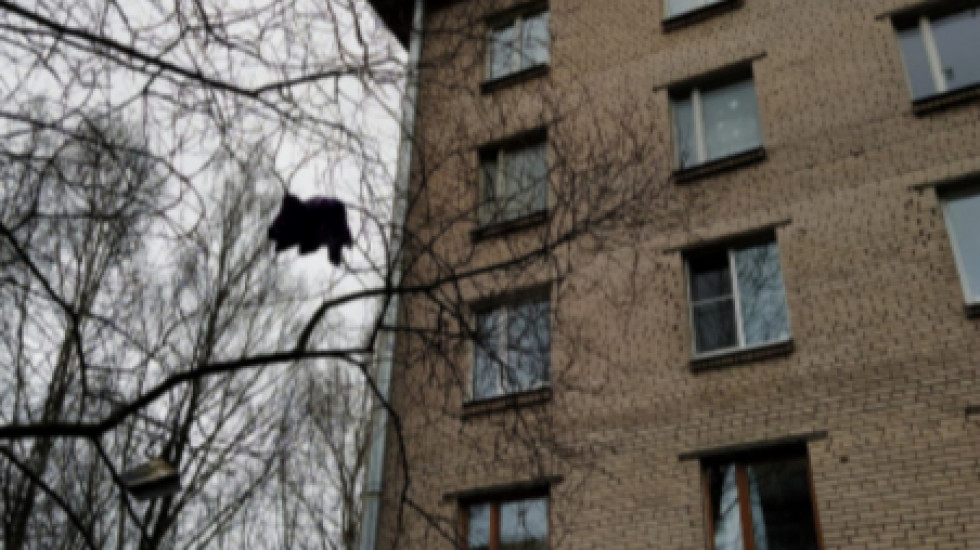 Петербурженке не дали выбросить двухлетнюю дочь из окна и «сделать ангелом»
