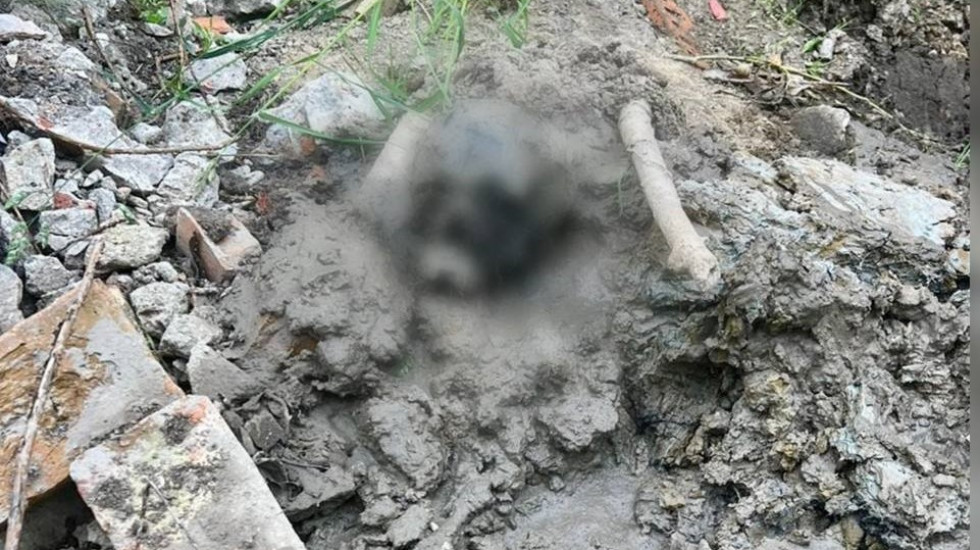Напротив школы в Колпино из земли достали покойника