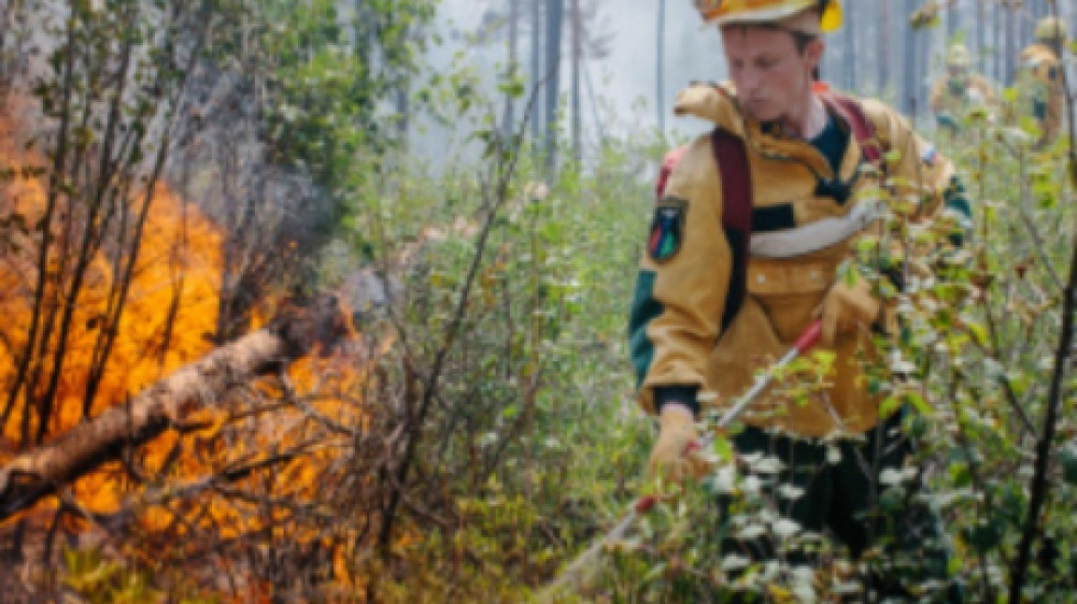 Минприроды предлагает запретить губернаторам самостоятельно выбирать, где тушить лесные пожары