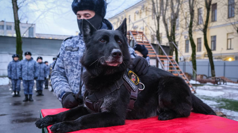 В Петербурге служебная собака Росгвардии впервые получила медаль