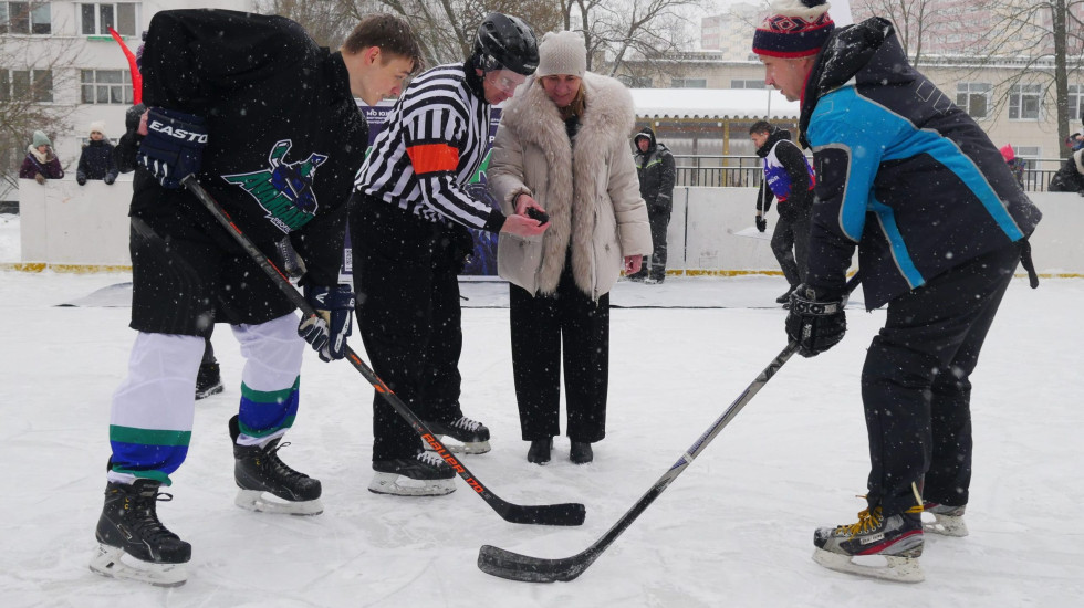 Ледовые дружины