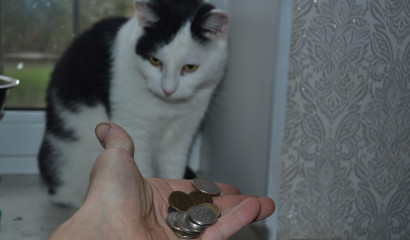 Суд в Петербурге рассмотрел показательное дело об авторском праве