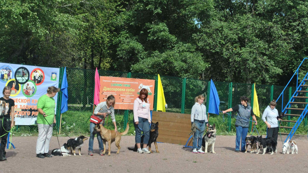 Петербурженка засудила ветеринара за смертельную кастрацию бульдога