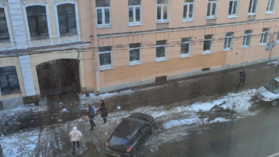 Чистильщики крыш в Петербурге убили собаку на глазах ребенка