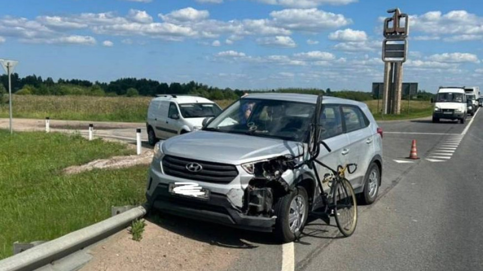 В Ленобласти велосипедист из-за собаки попал под машину  