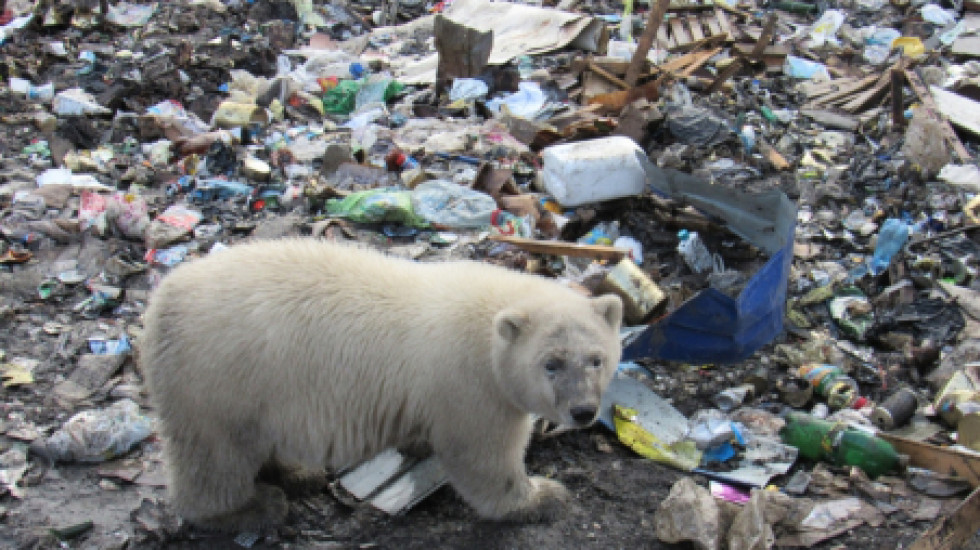 Москва выбрала регионы для вывоза своего мусора