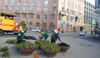 Садовники Петербурга начали в январе посадку уличных цветов