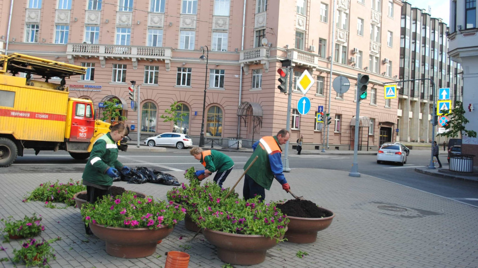 Садовники Петербурга начали в январе посадку уличных цветов
