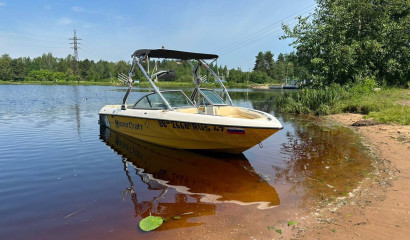 Петербуржец на катере переехал женщину и получил условный срок