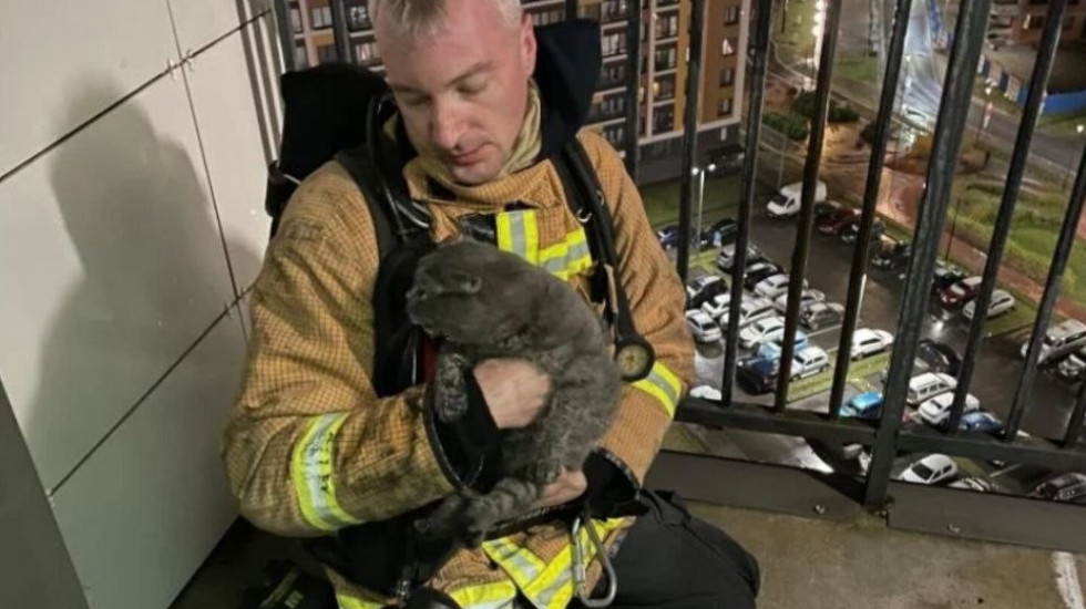 Пожарные вынесли кота из горящей квартиры в Мурино