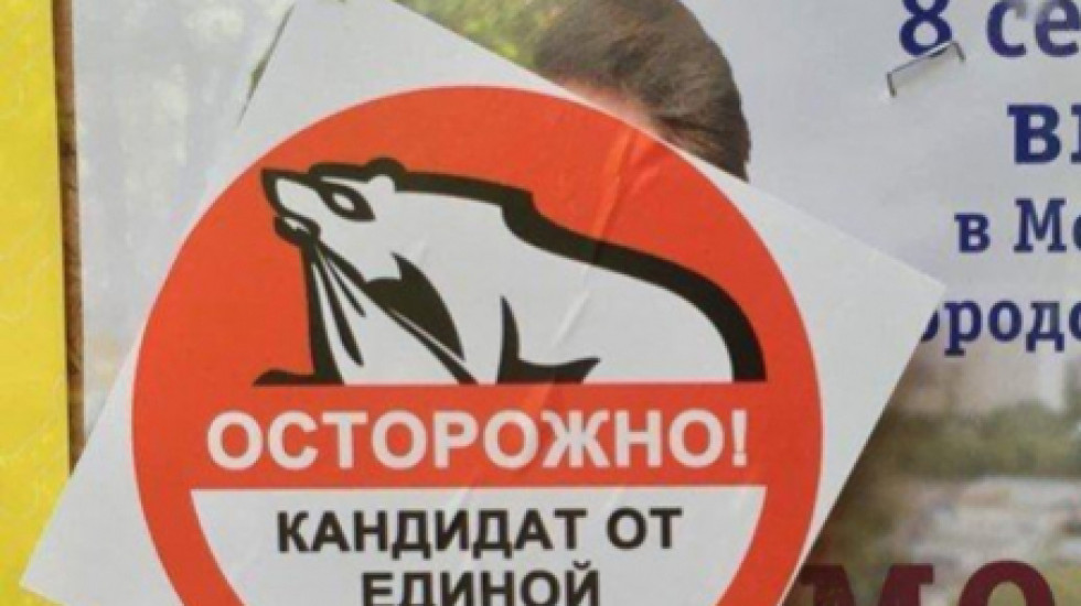 Измерены потери партии власти при «Умном голосовании» в Петербурге