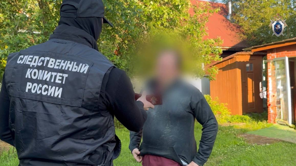 Врач-онколог из Петербурга арестован за комментарии