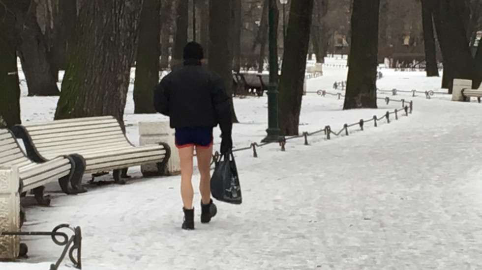 Оттепель в Петербурге продержится два дня