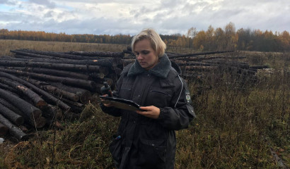 На Новгородчине землевладельца лишили заброшенных сельхозугодий