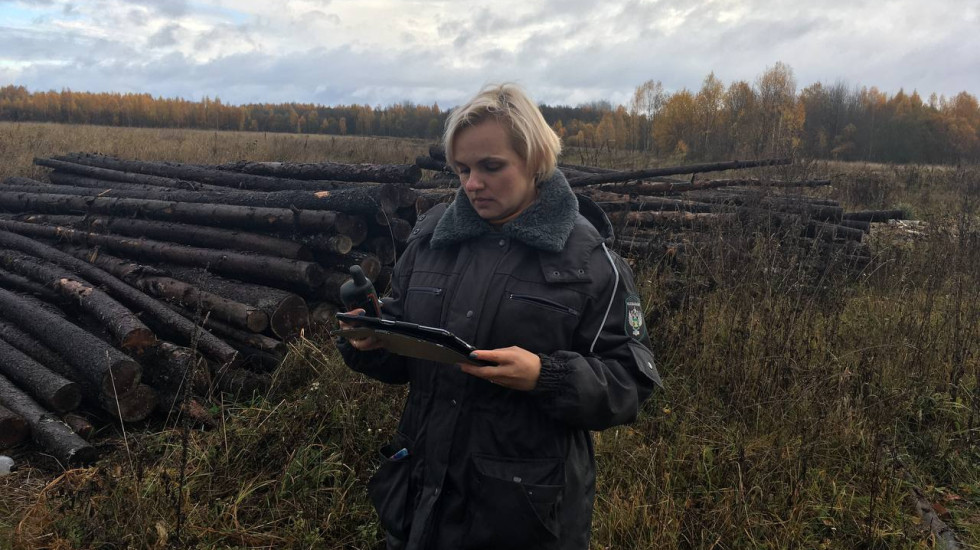 На Новгородчине землевладельца лишили заброшенных сельхозугодий
