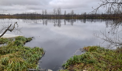 В Петербурге возбуждено уголовное дело из-за загрязнения Охты