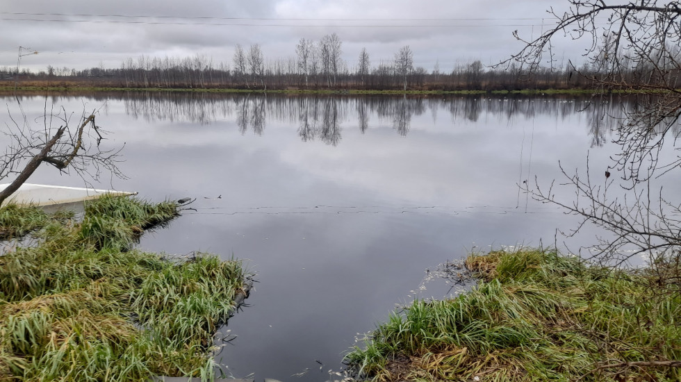В Петербурге возбуждено уголовное дело из-за загрязнения Охты
