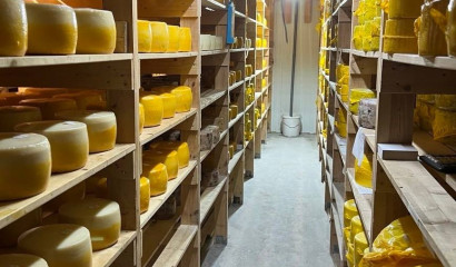 В Адмиралтейском районе инспекторы уничтожили 2 тонны сыра