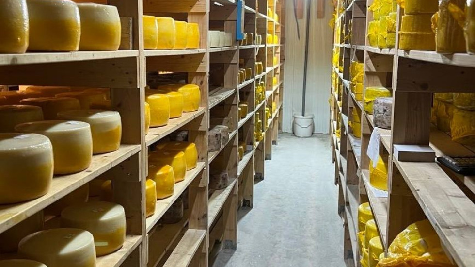 В Адмиралтейском районе инспекторы уничтожили 2 тонны сыра