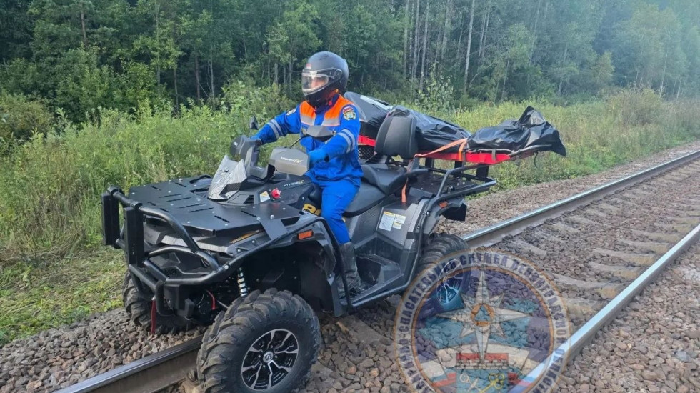 Два человека попали под поезд в Тосненском районе