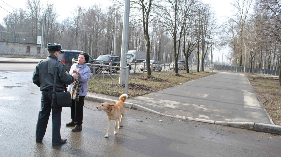 35 петербуржцев заплатили за неправильный выгул собак