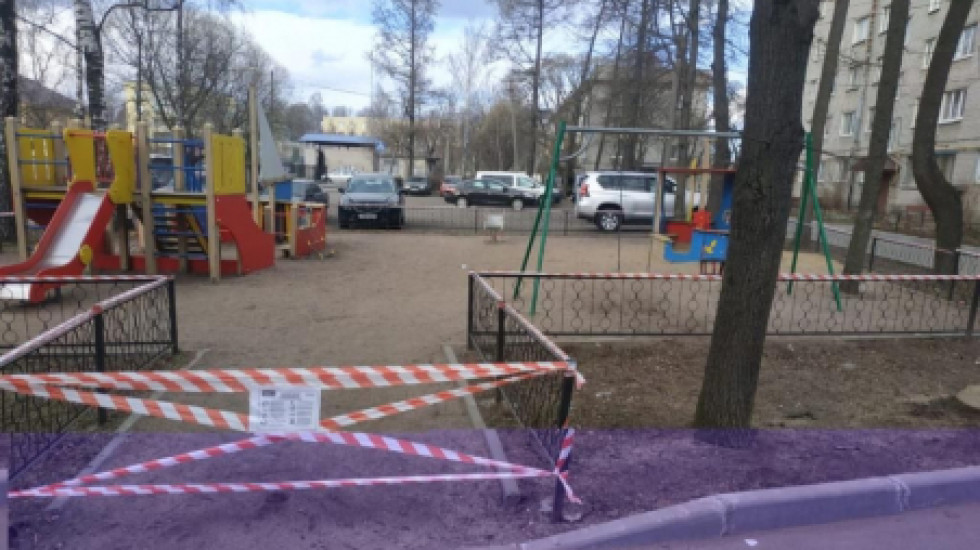Петербургский суд пожурил и простил волонтера за вход в Александровский сад