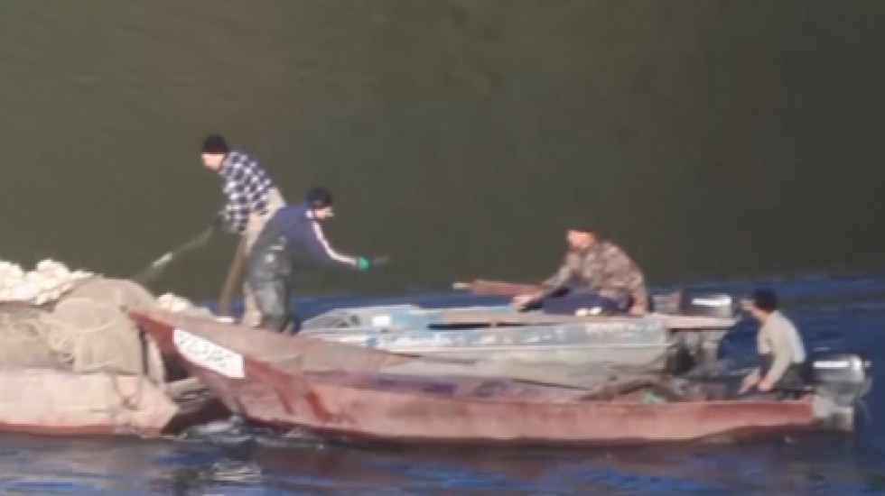 МВД поймало государственных рыбоводов на организованном браконьерстве