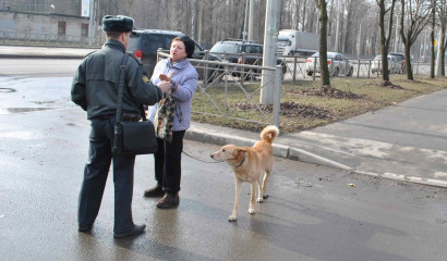 Петербуржцам придется убирать за собаками и держать их на поводке