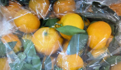 Инспекторы не пропустили 20 тонн китайских мандаринов в Петербург