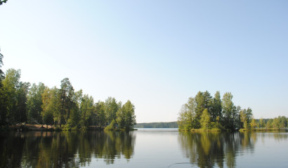 «С чего начинается Родина» – расскажут в песне и танце артисты Петербурга